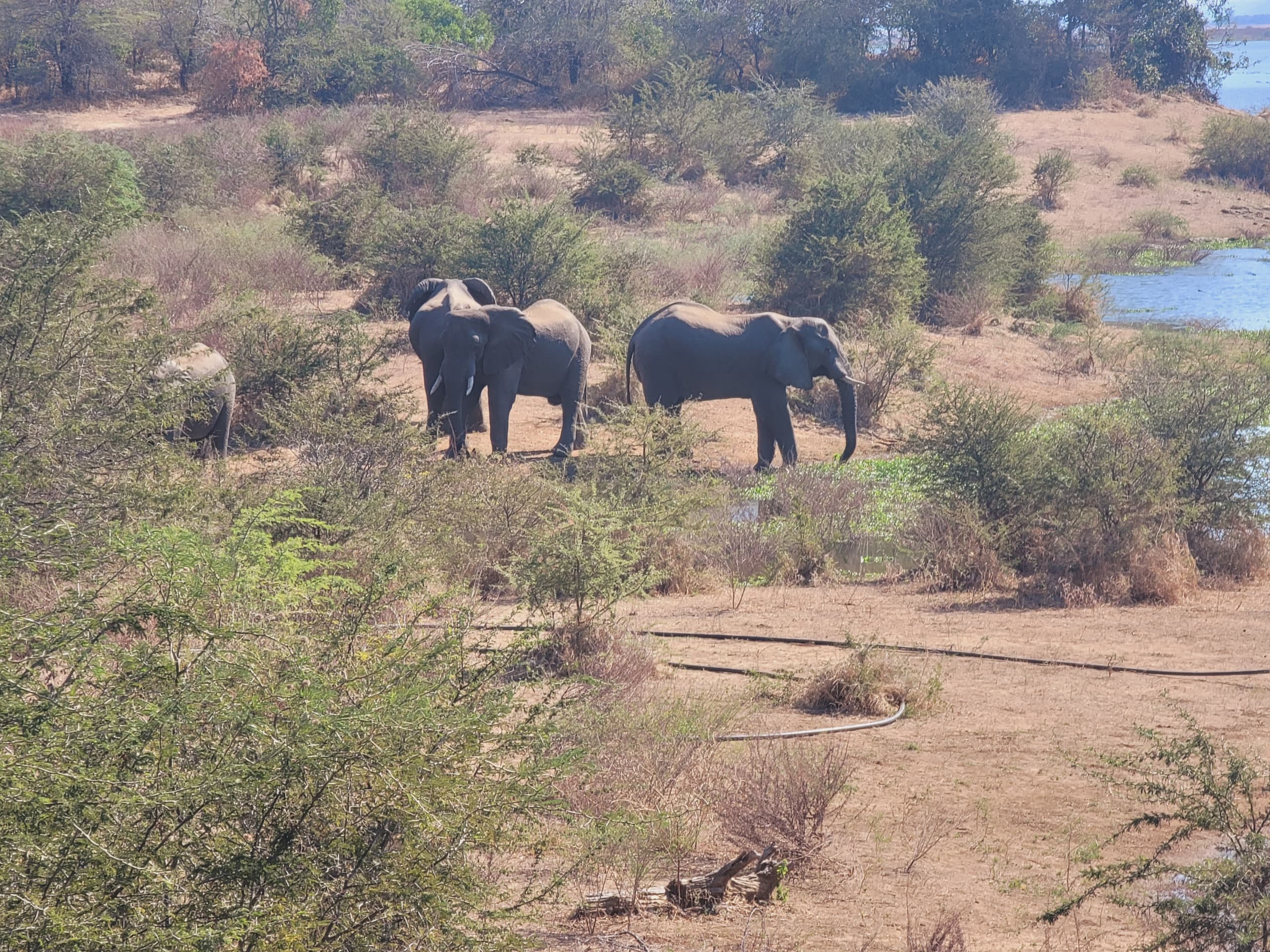 Nature walk through the Kariba wilderness