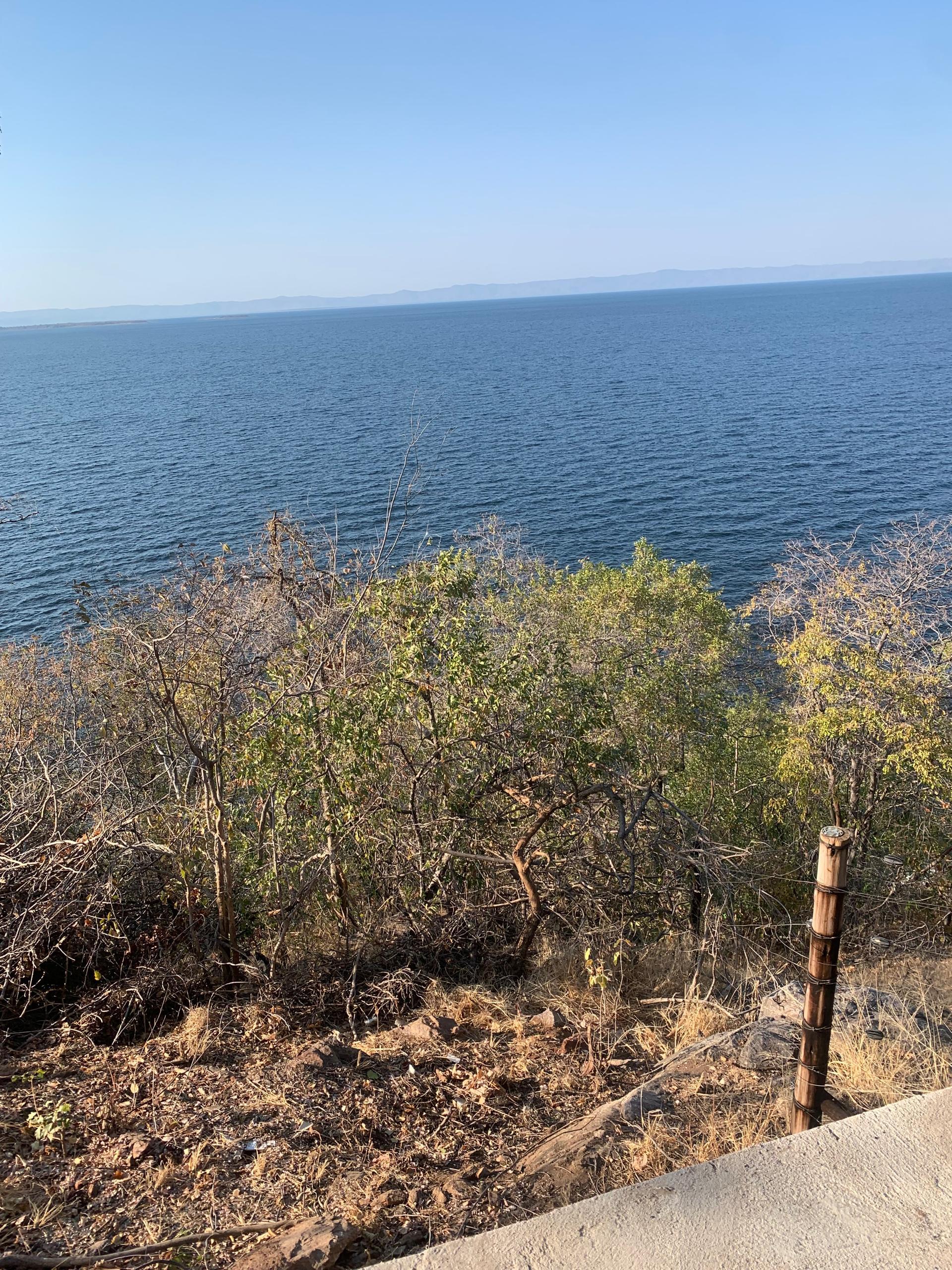 Where the Horizon Opens