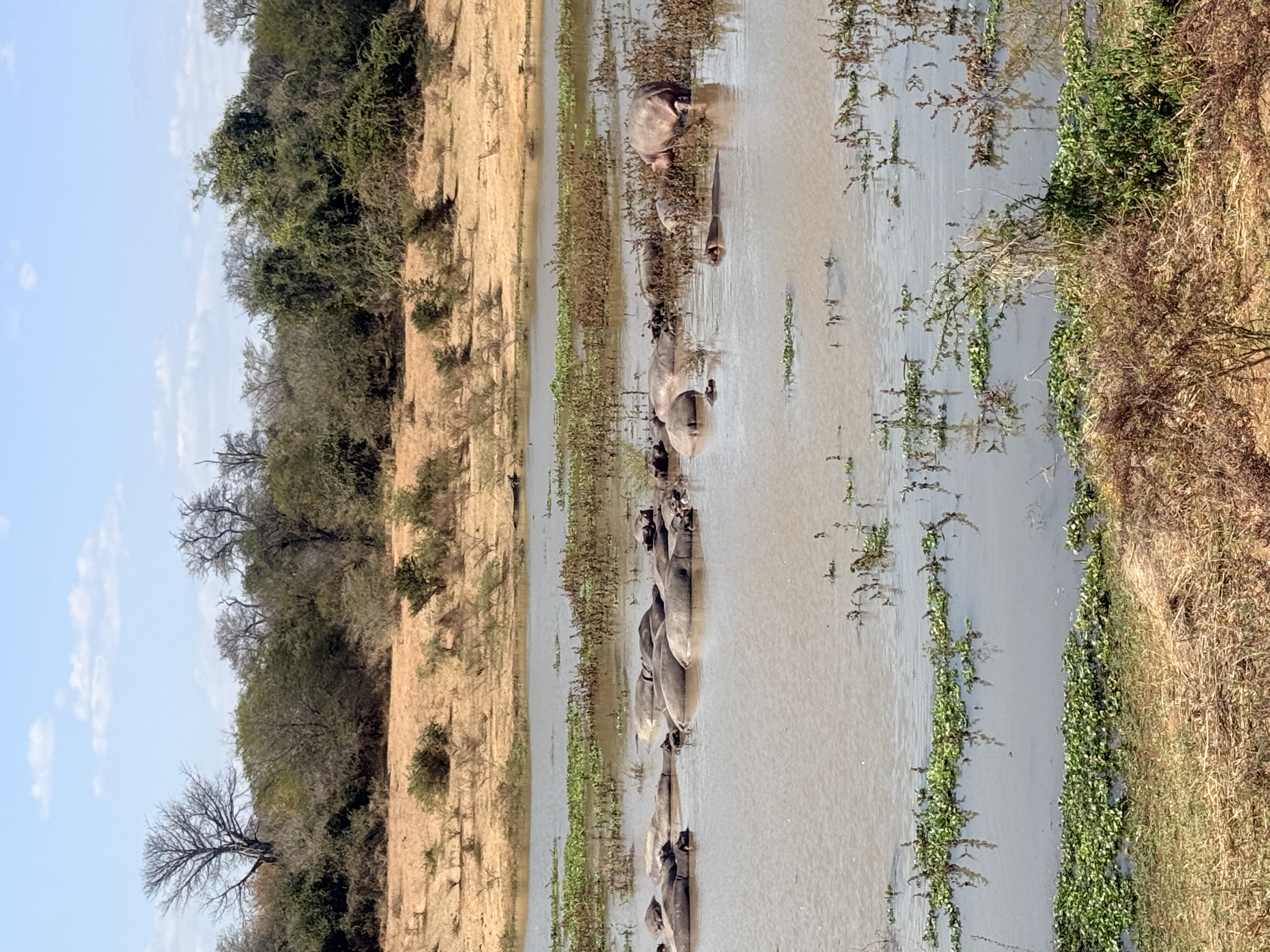 Wild Shores